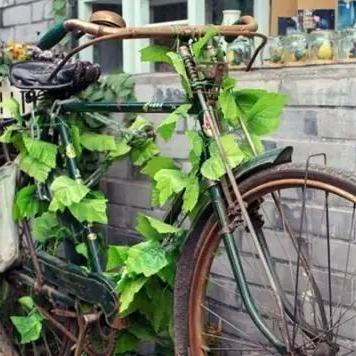 怎么逛成都市内的地方