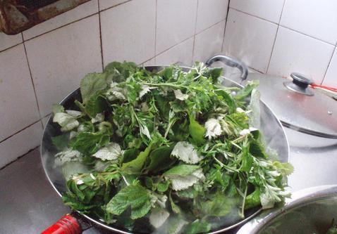 野草可以做什么美食（广西哪几种树叶能做凉粉）