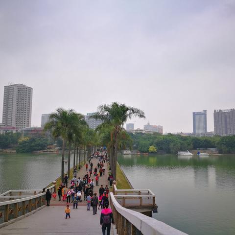 南宁市南湖是哪个区