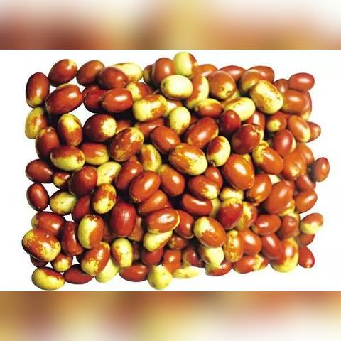 周口市美食在哪里吃好