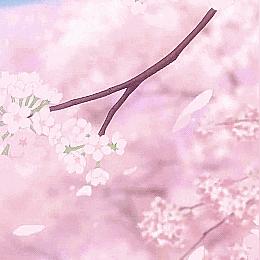 成都市新都区哪里有桃花