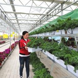 兰州市明德庄园在哪里