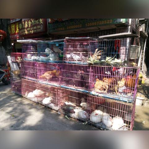 泉州市的地区号是多少