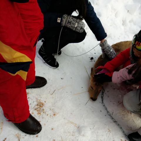 寒假来了哈尔滨作文相关长尾关键词有哪些