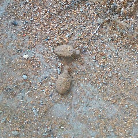 老牛推车是做什么意思的长尾关键词是什么