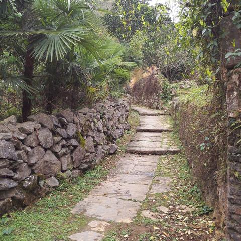 桂林市今天哪里涨水了呀