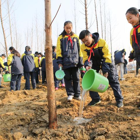 厦门 绿家园的相关长尾关键词有哪些