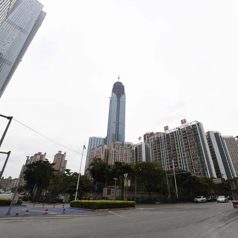 南宁地段生是如何认定的？