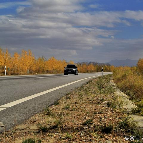 青海和甘肃哪个人口多？