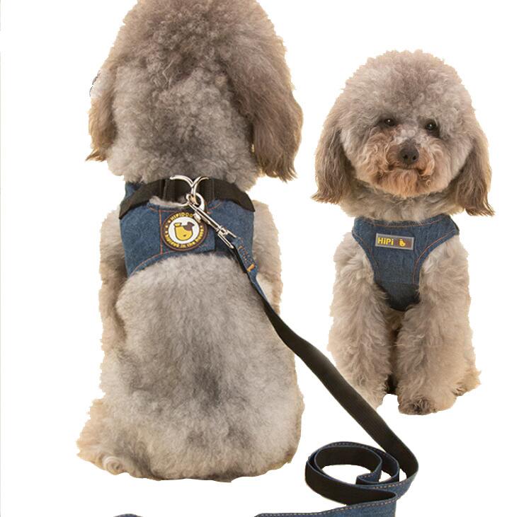 王者荣耀什么英雄控制狗链(为什么贵宾犬能双脚走路)