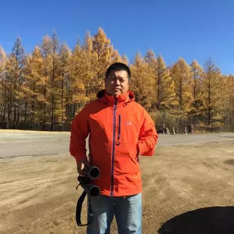 哈尔滨市太平庄是哪个区