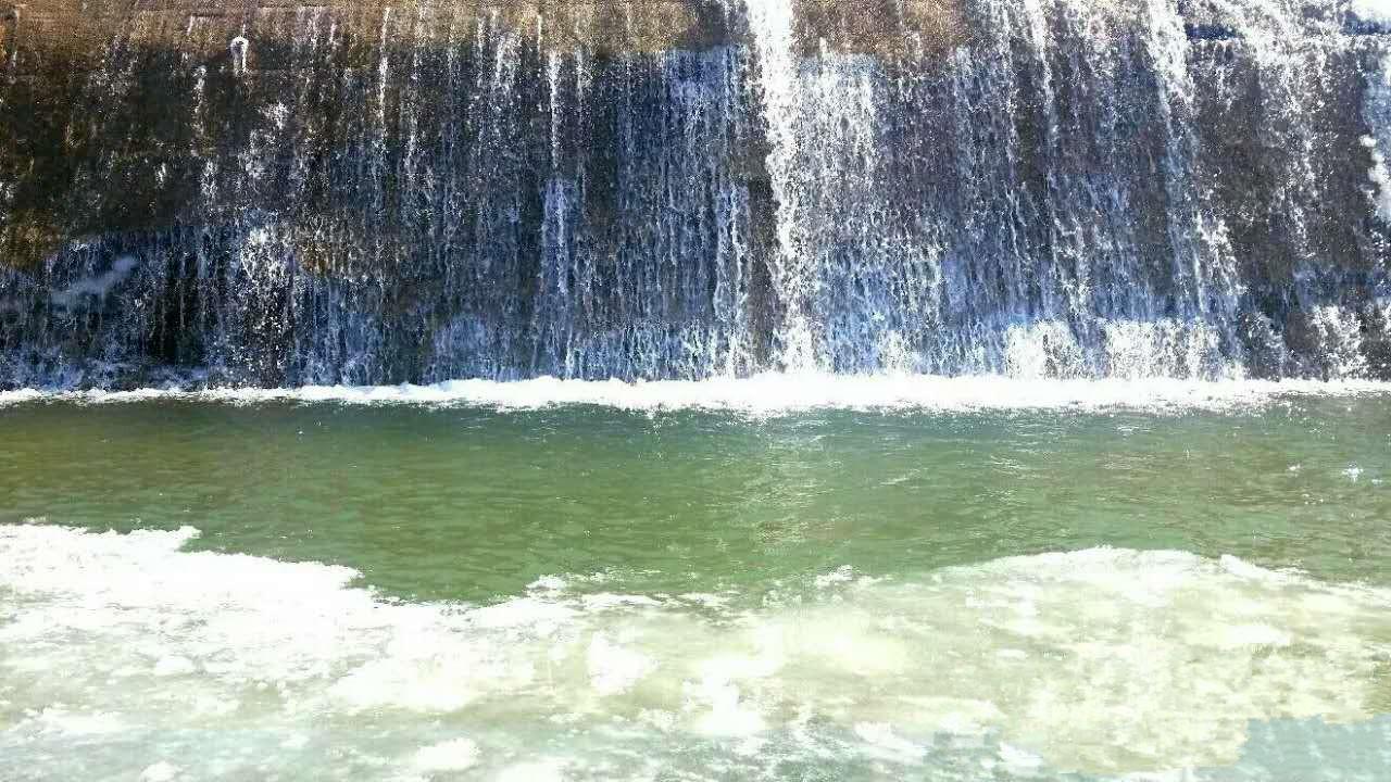 梦境解析，昨晚梦到吃到虫子蛹的深层含义