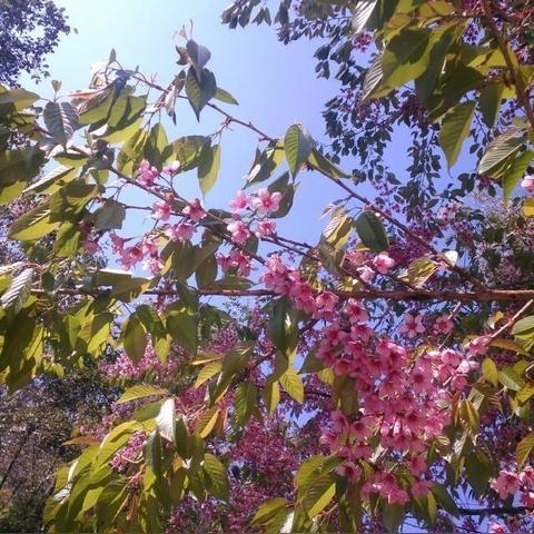 昆明市亲子钓鱼的长尾关键词有哪些