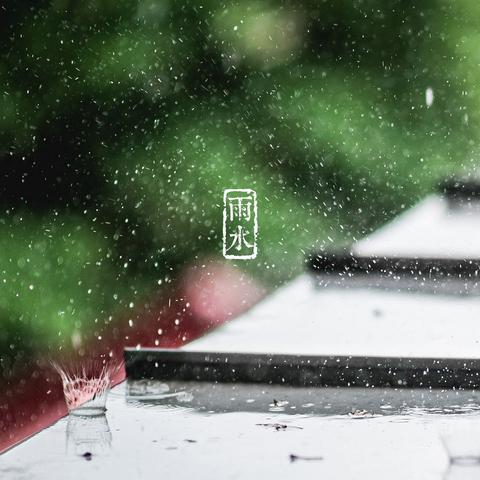 五行健脾散(五行健脾散的功效与作用)