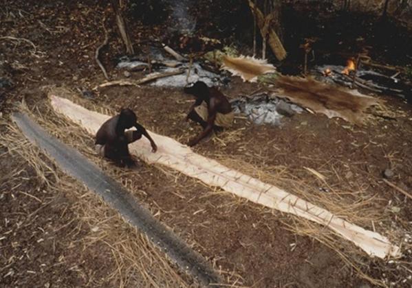 黄金蟒蛇之梦,解析被追赶的预兆与深层含义 黄金蟒蛇之梦,解析被追赶的预兆与深层含义