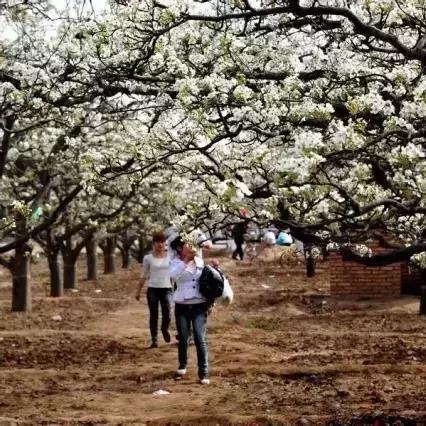 石家庄市南边是什么河