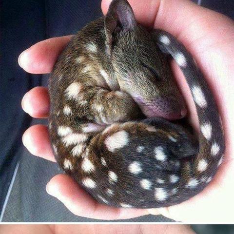 印度主要跨境电商平台的相关长尾关键词有什么