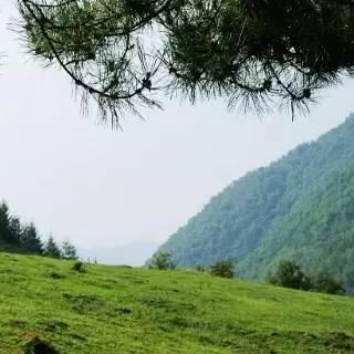 兰州市哪里能烧烤吃饭的