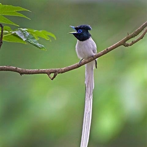 杭州超级伙伴的相关长尾关键词有哪些