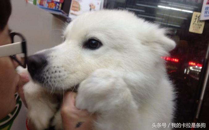 宝宝很有力气怎么起名(有哪些值得推荐的燃向动漫作品)