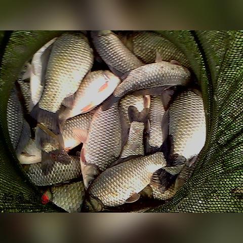 兰州市安宁钓鱼场在哪里