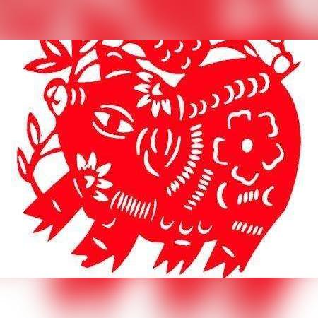 生肖猪运势1971年出生(生肖猪1971年人生运程)