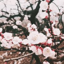 西安市明年举办什么会