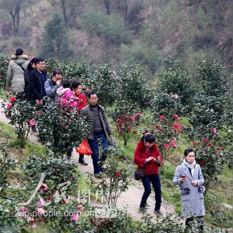 桂林市哪里有蜜蜂箱卖
