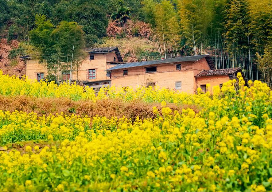 半山腰风水_最美乡村你见过吗