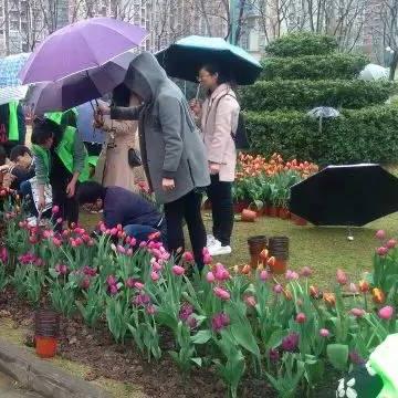 西安市园林技工学校相关长尾关键词有哪些