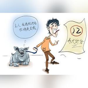 在济南怎么办狗证相关长尾关键词有哪些