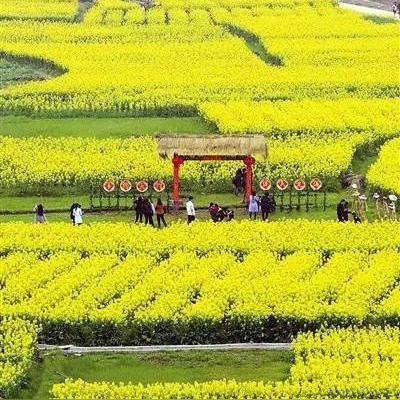 河南洛阳温州天气怎么样