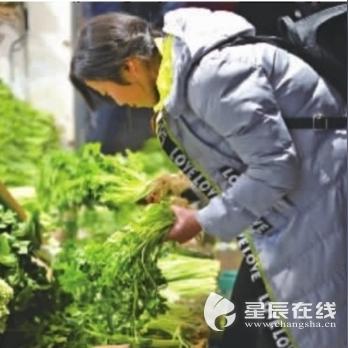 【长沙今日菜价】2025年6月16日长沙菜价是多少