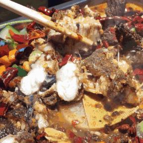 保定市烤鱼夜宵店有哪些