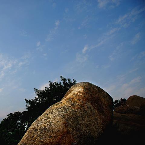 深圳宝安公园恢复开放了吗？