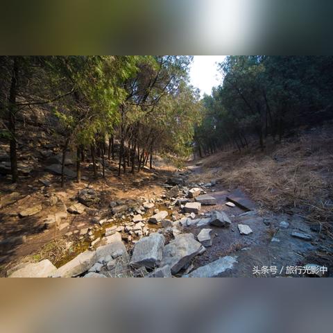 济南市中区属于哪个山