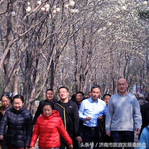 济南市的花有哪些