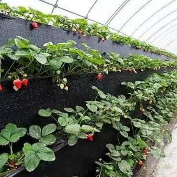 武汉周末好去处排行榜？