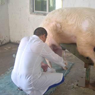 人工智能后期有什么专业