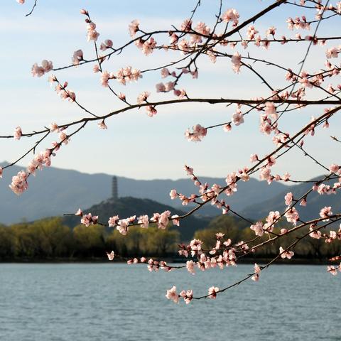 今年北京二月气温的长尾关键词有哪些