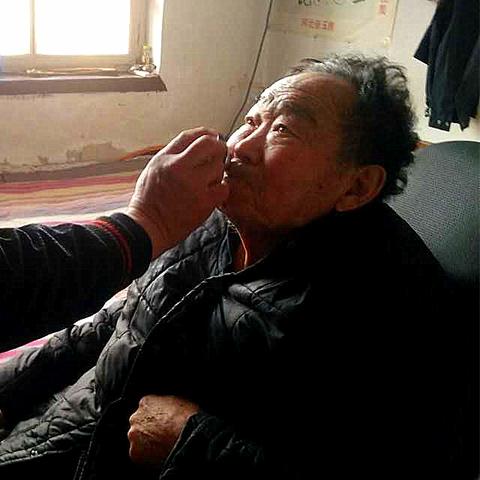 石家庄市训犬价格的长尾关键词有哪些