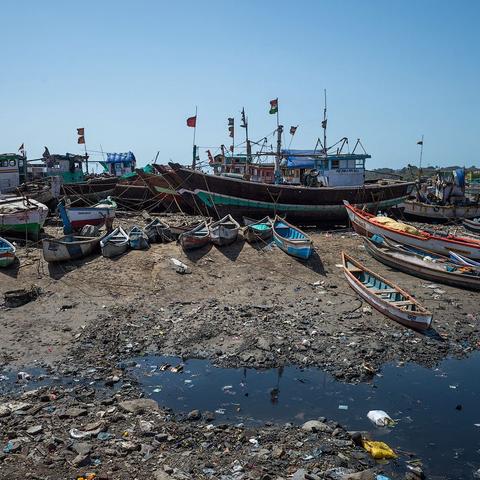 盘点印度小哥在上海过春节相关关键词有哪些