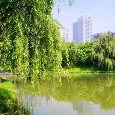 各大城市市区面积？