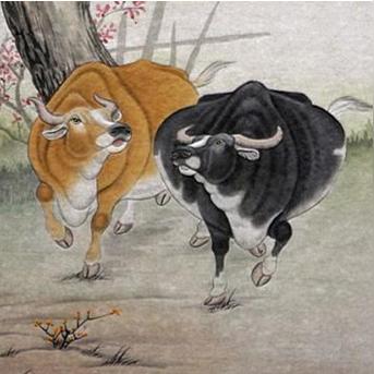 生肖羊年一生的运势(十二生肖之羊年的运势)