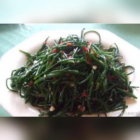 兰州市哪里有售卖沙葱