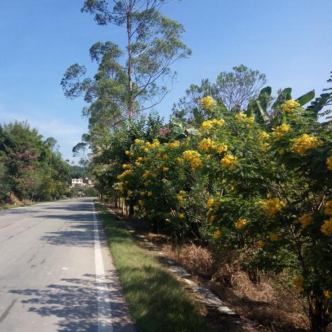 广西气候怎么样