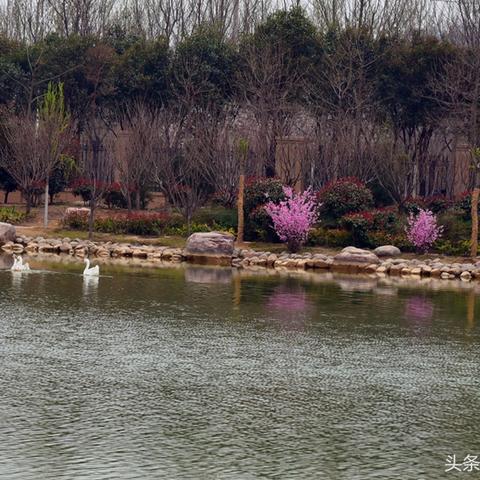 河南农业大学三个校区怎么分布的？