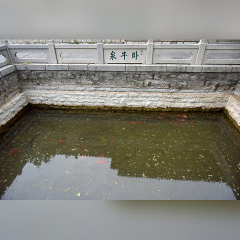 济南市加什么油