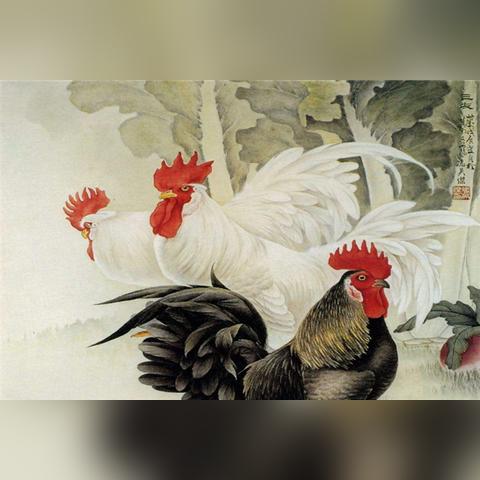 生肖鸡20年运势(20年属鸡的全年运程)