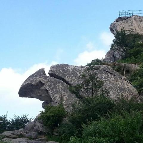 河南是什么族